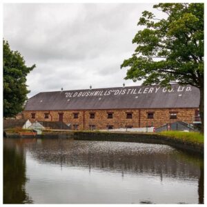 Bushmills Tasting at WhiskyBrother