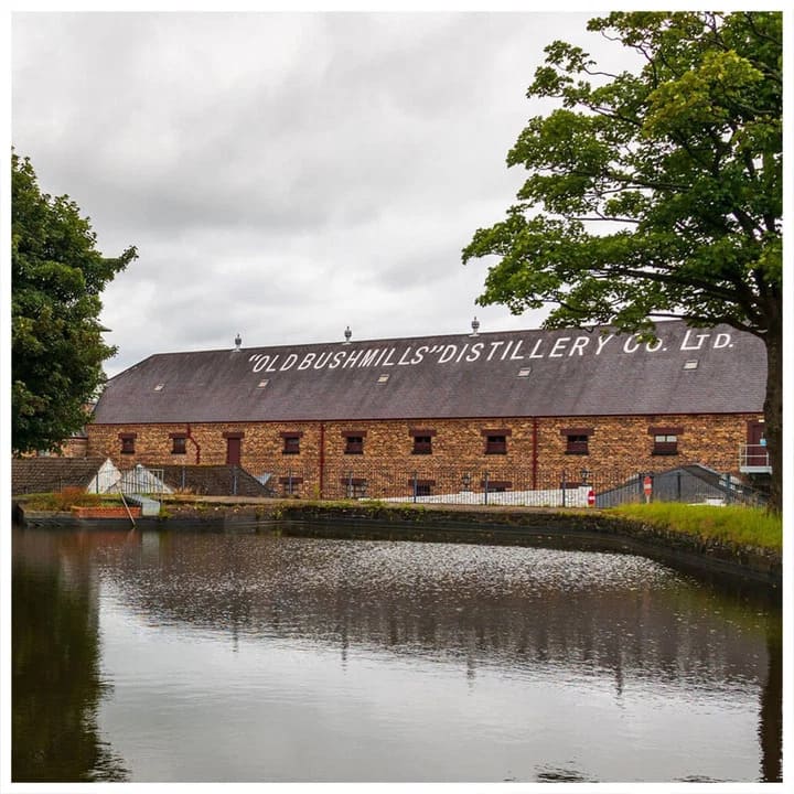 Bushmills Tasting at WhiskyBrother